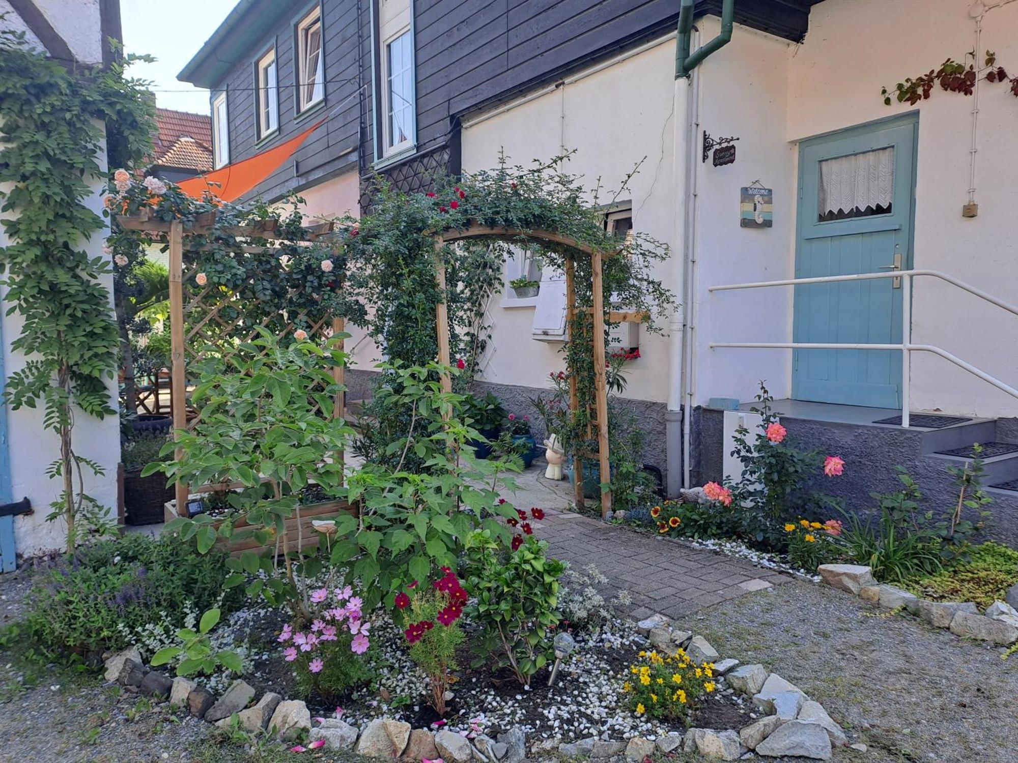 Sonniges Apartment Altenbrak Eksteriør bilde